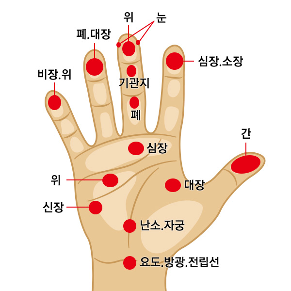 우리몸의 간단한 손 혈자리 지압법을
소개합니다.